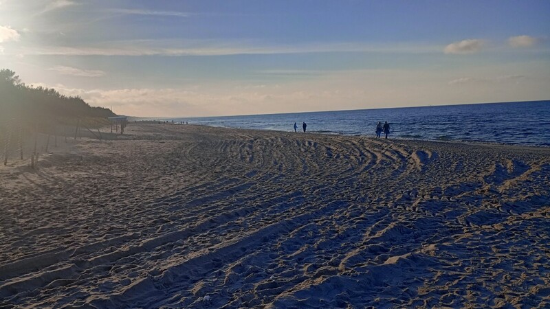IMG_20261023_155441_HDR.jpg