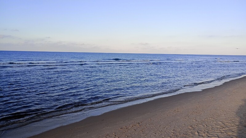IMG_20261023_155714.jpg