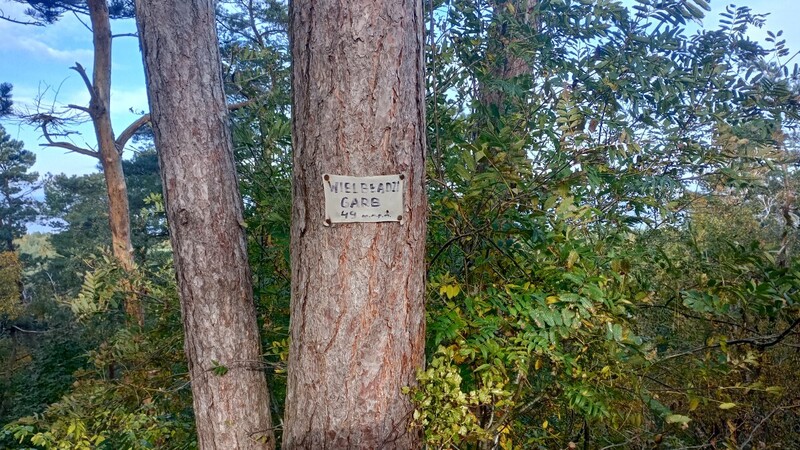 IMG_20261024_104046_HDR.jpg