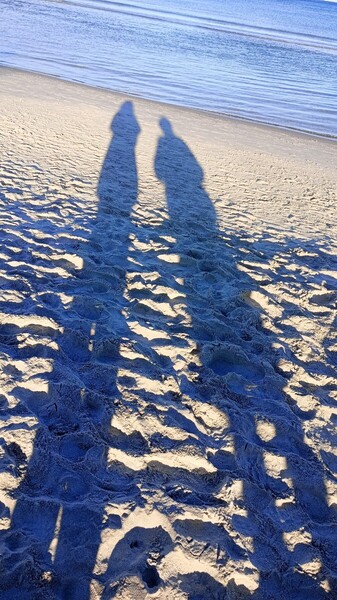 IMG_20261025_081655.jpg