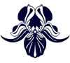 Irys