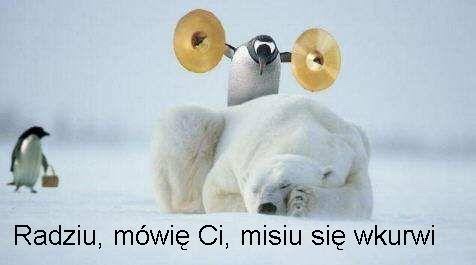 1a0aaa4ece8d32def2f5e81698e7953d.jpg