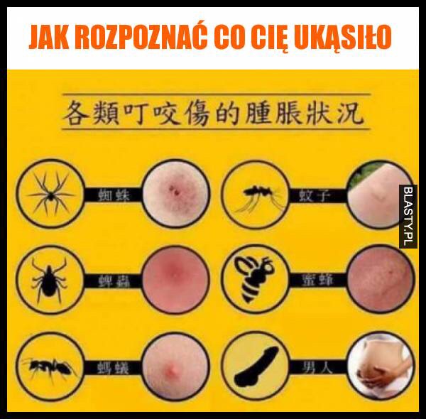 6b02da8eeb33dc5fb56668e14f1bada8.jpg
