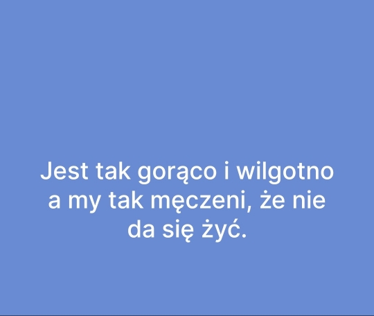 420717f776ee55c2698de31755aa3329.jpg