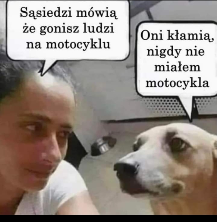 8b525614111d97510bd1fecd7f5e02b5.jpg