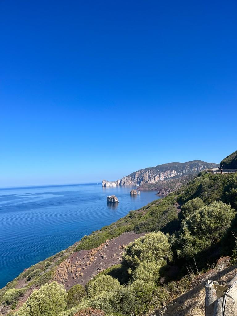 97ad974bd41d3edf66d8c6f979622d4d.jpg