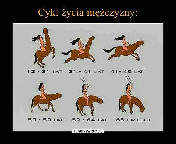 7c95c20fb79cc4ca29e11f085bd5c3a2.jpg