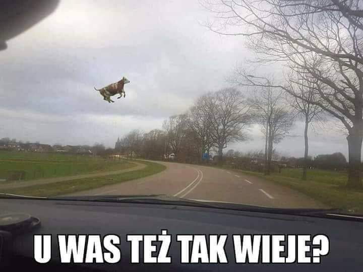 692c9dccf11804bbfae59b771820e907.jpg