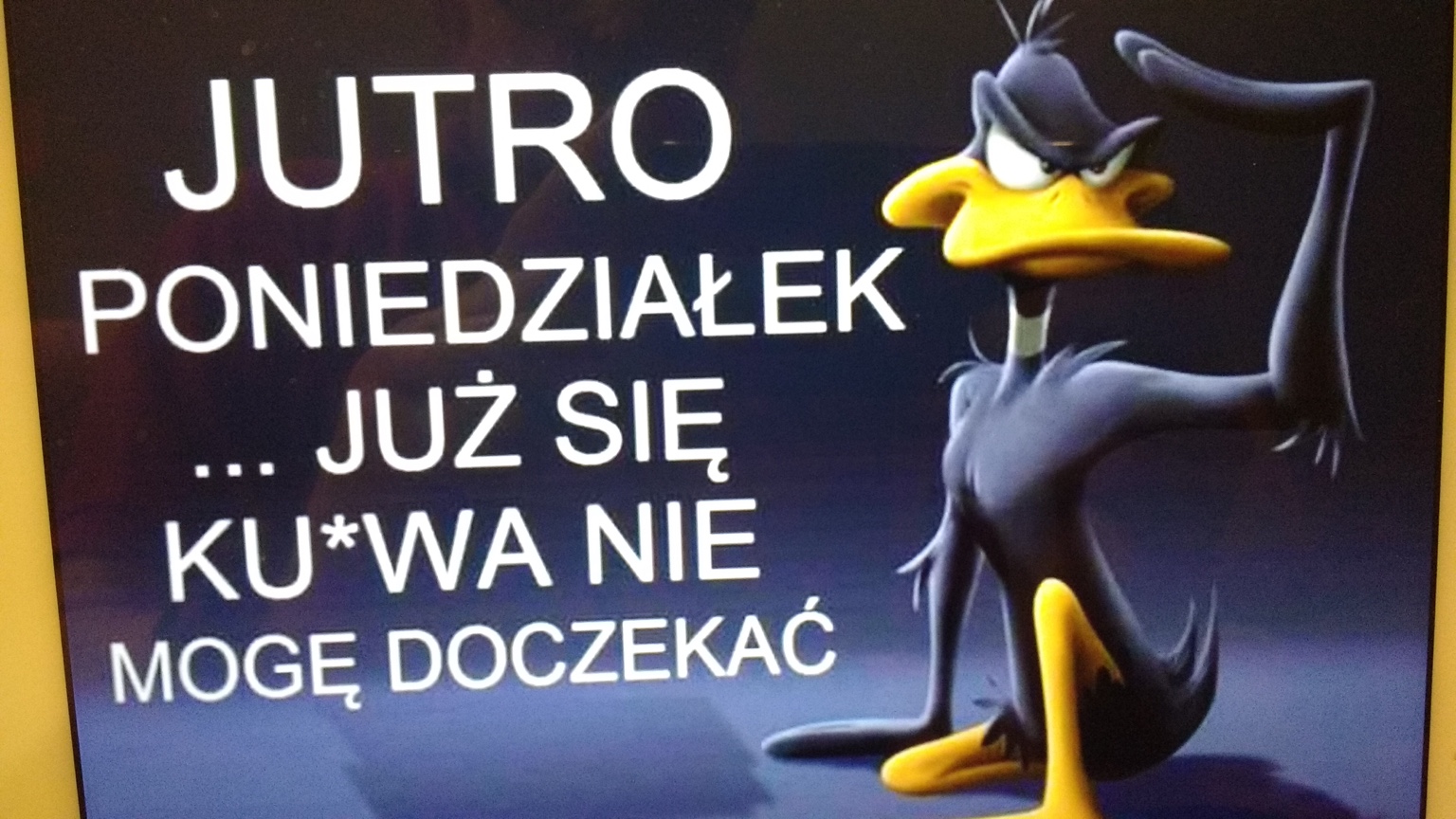 517593cfb80b796dd275d232a3d849da.jpg