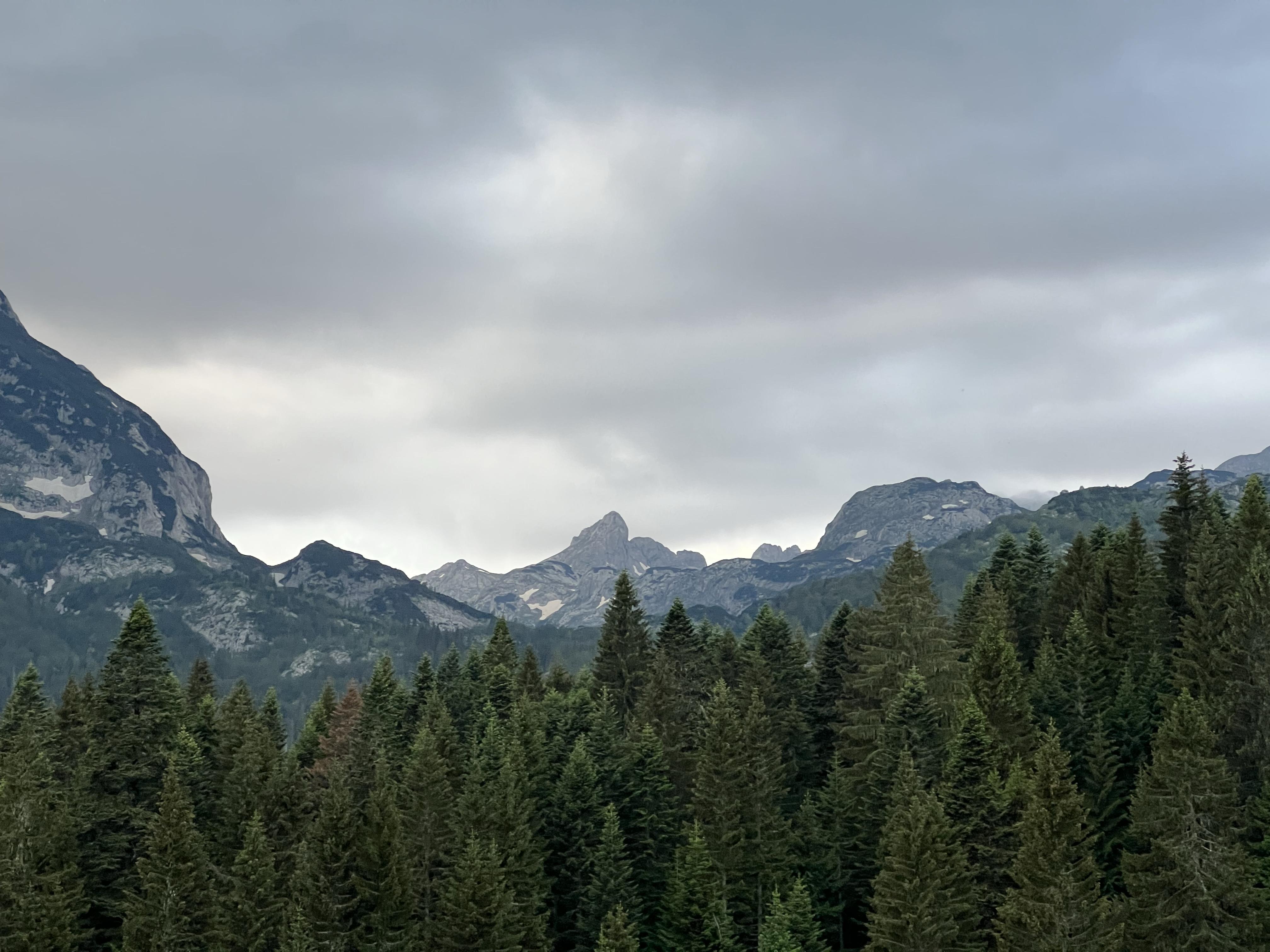 42917d7458dc03204c925d56228b03f0.jpg