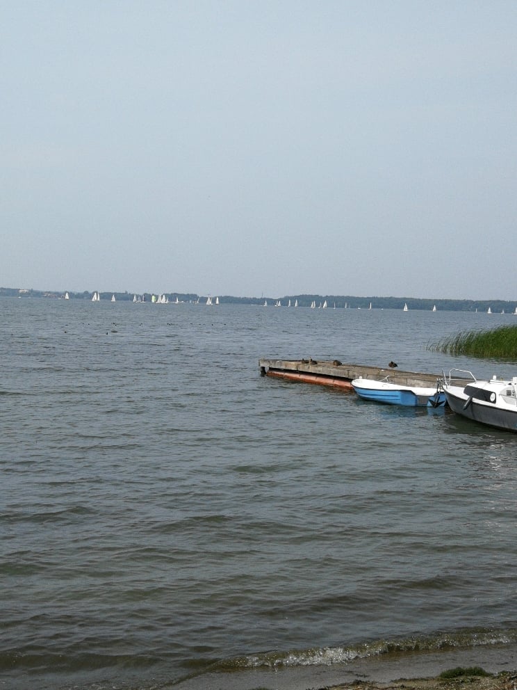 bdf9782bdf8e95d1a6c09f12bdc79cc4.jpg