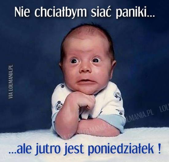 8765de787c447546f09a2c8978121d7a.jpg