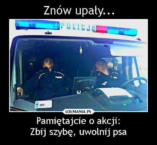 d0d19d2bec22c701aaf6a42999ed9627.jpg