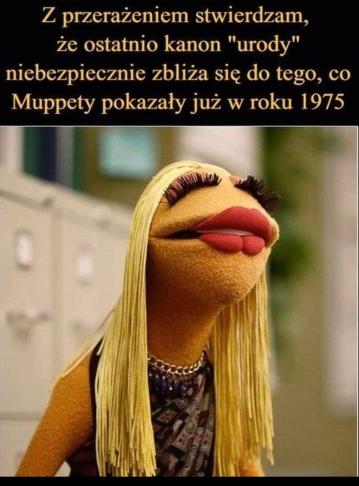 f944653368b6f1e26e88d6a6929a1052.jpg